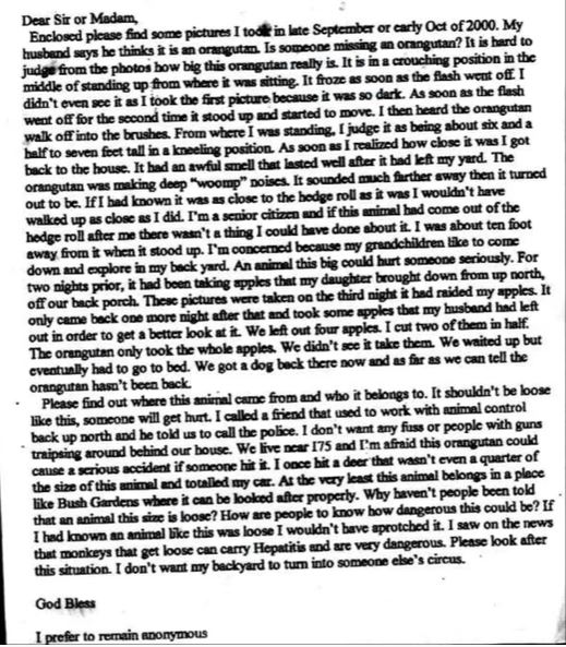 Secondly, it appears to have been typed in word (or similar word-processing software), its print settings making it look somehow reminiscent of a typed letter. Are we meant to think that it _was_ a typed letter? This isn’t clear, but the very look of the document is slightly odd.