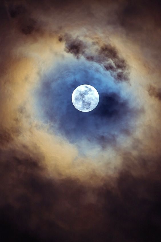 Goodnight my dear friends!
#photos #photography #night #moonlight