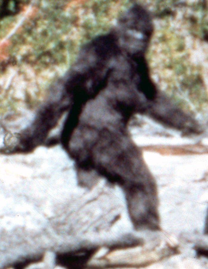 Ok, you’ve heard of  #Bigfoot. As mostly portrayed in the literature (and in TV shows and cinema), Bigfoot is a large, shaggy-furred, robust human-shaped cryptid of the Pacific Northwest (here's Frame 352 of the Patterson-Gimlin film)...