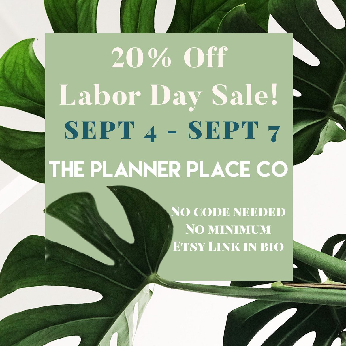 SALE! 🌱 20% off!!