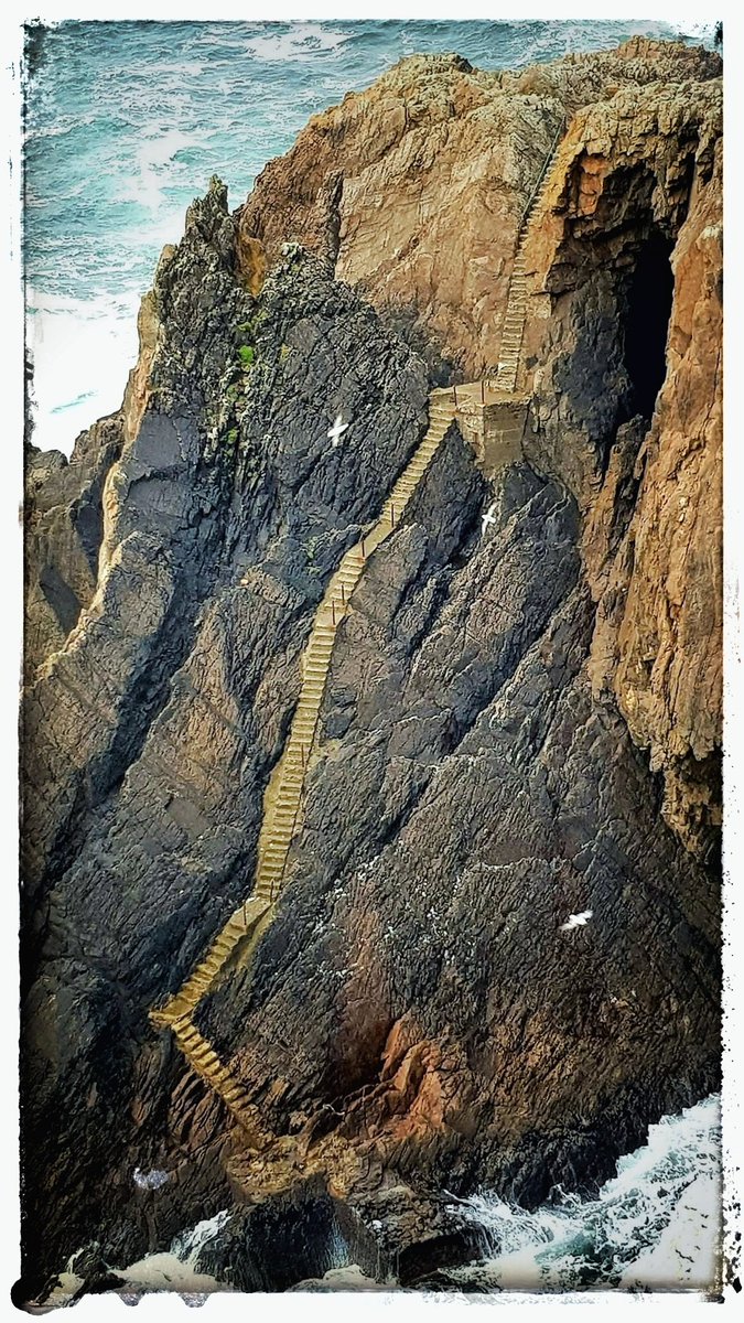 Arranmoreferry1's tweet photo. Have you tried #THESTEPS at #ARRANMORELIGHTHOUSE?

Can you tell us how many steps there is🤔

Check out our website for #discount fares by clicking the link below ⬇️

https://t.co/R5UhEgwR9Y

If you are planning an adventure then hop on ARRANMORE RED FERRY https://t.co/uArh0lpzrM