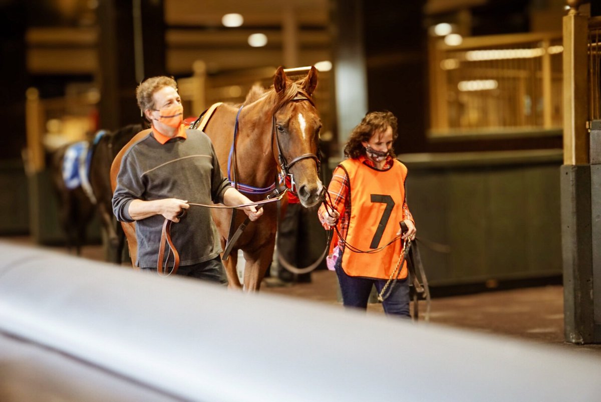 WoodbineTB's tweet photo. The G3 Vigil Stakes is up next! Who do you like, Twitter? #GoPinkyGo #BetWoodbineTB https://t.co/Aq2ydgcA1D