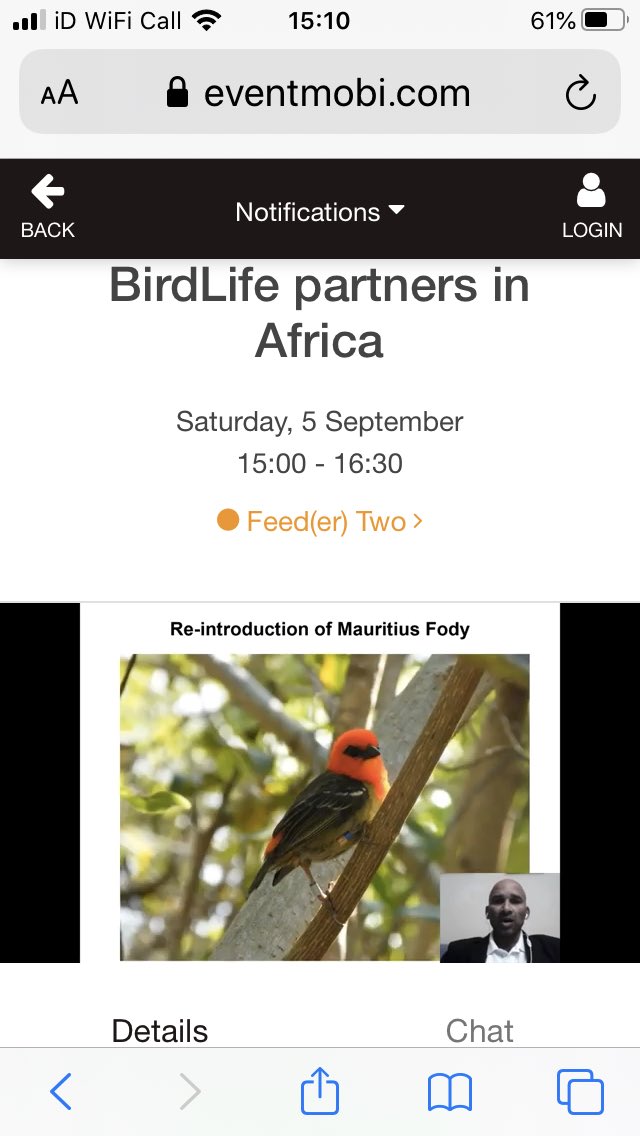 Hazell Shokellu Thompson tweet media