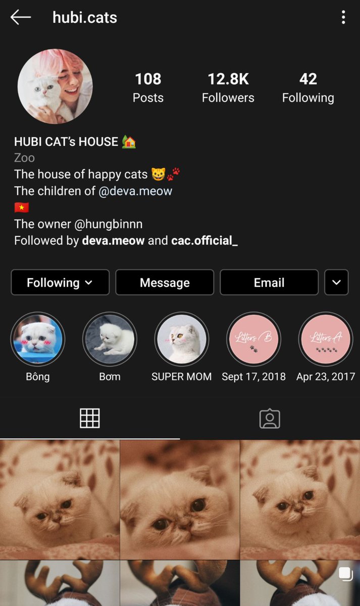 Firstly, this boy is a CAT DAD. He has two instagrams for them (which are still up!) for his Cat (deva.meow) and Cat's 6 kittens (hubi.cats)! 