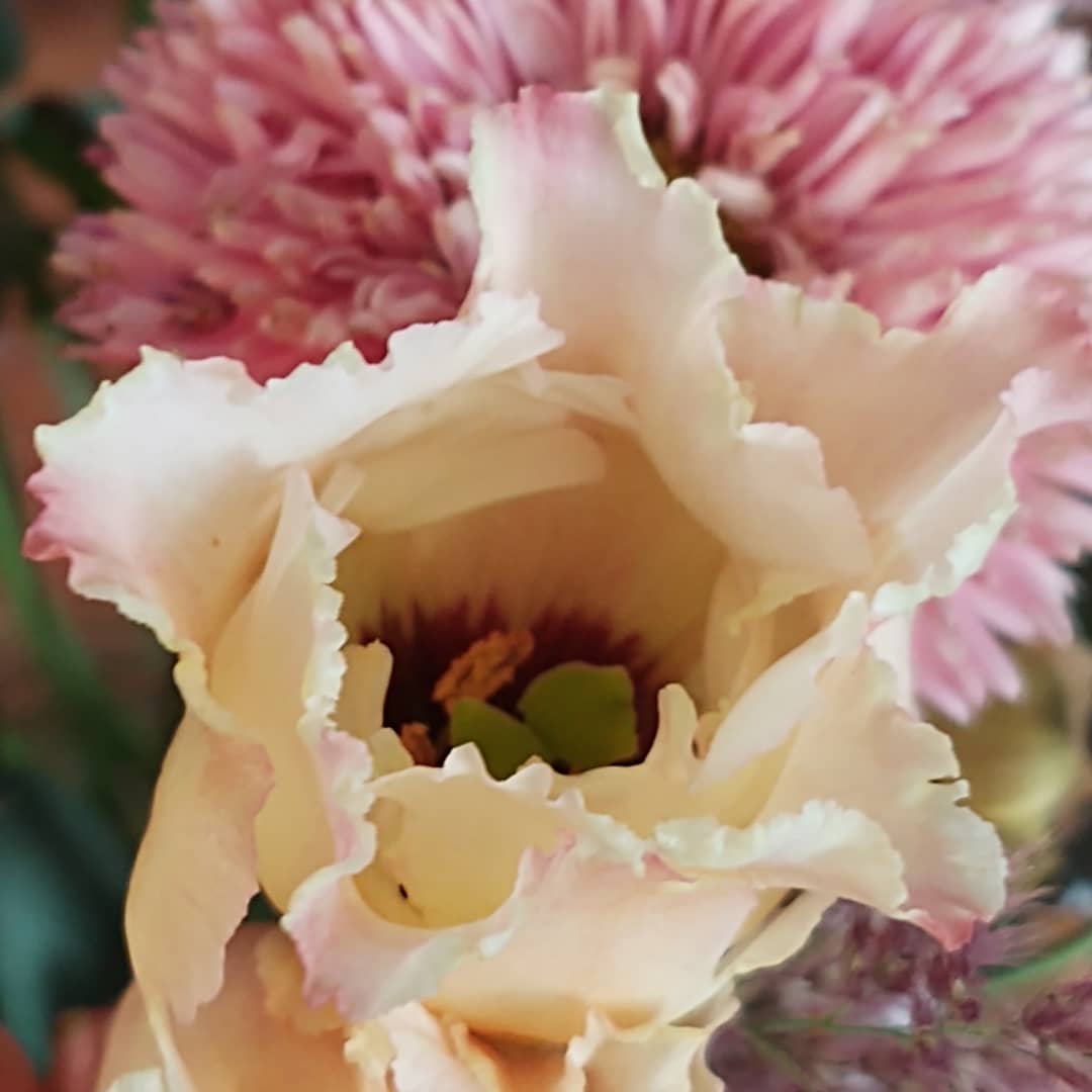 Melissa Huntsberry tweet media