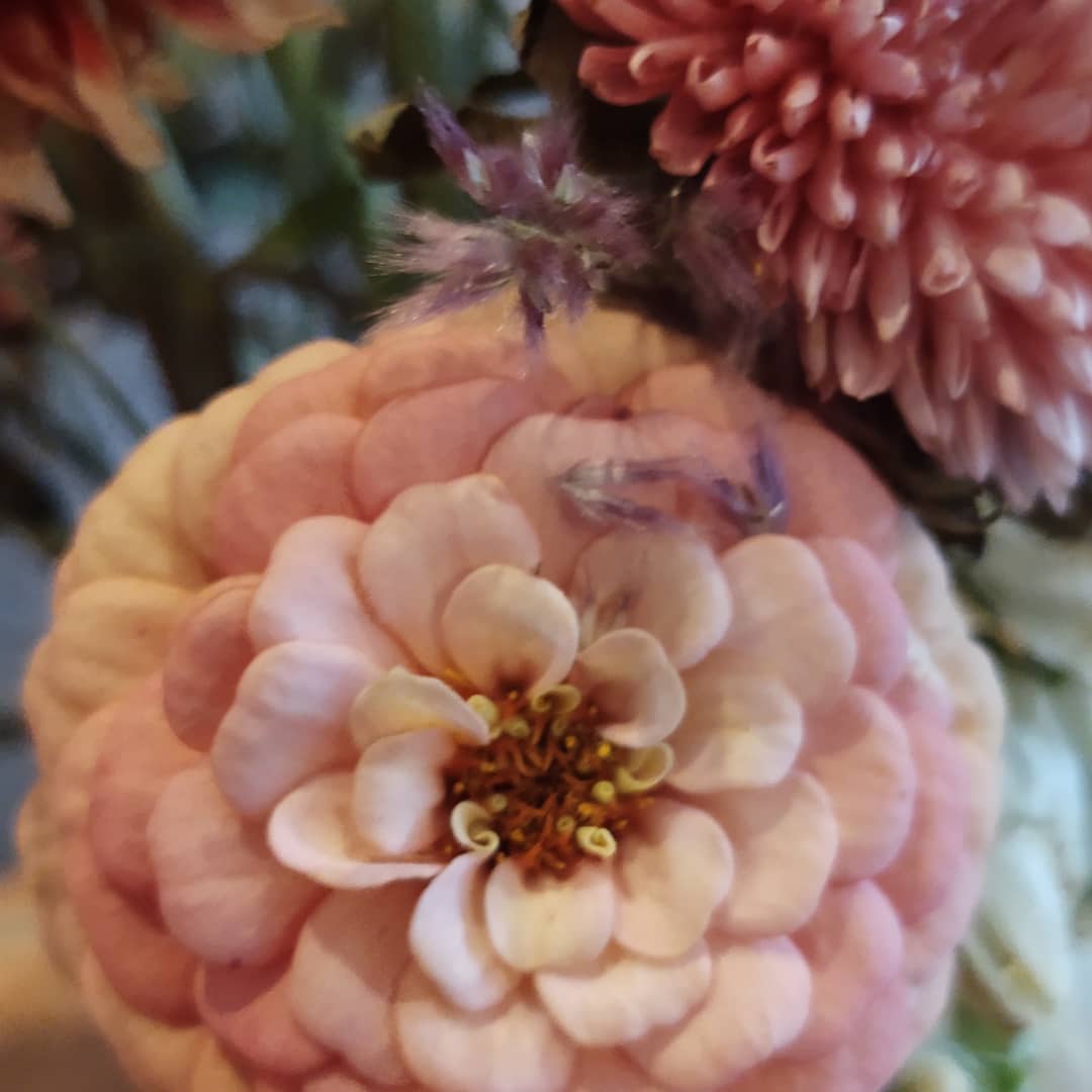 Melissa Huntsberry tweet media