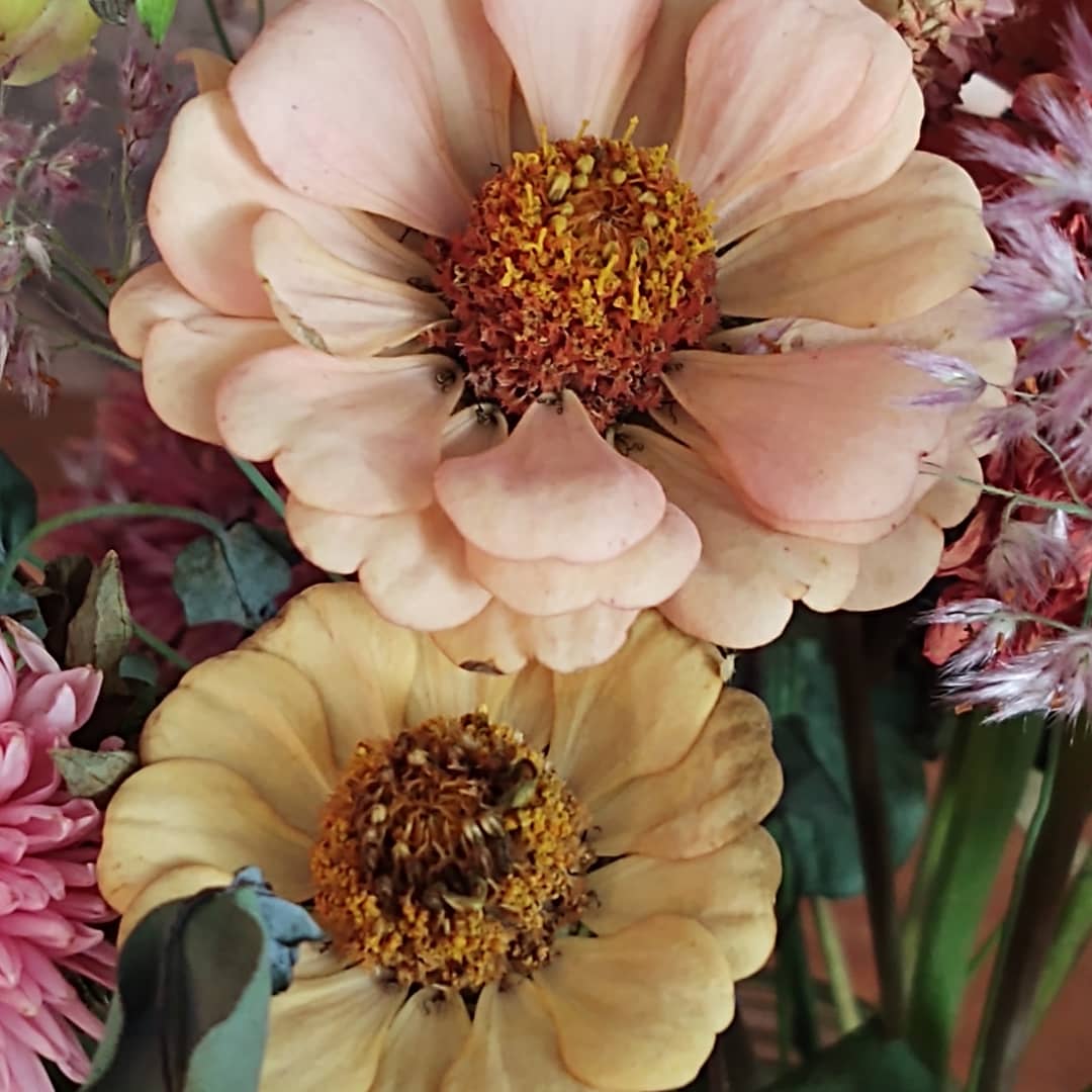 Melissa Huntsberry tweet media