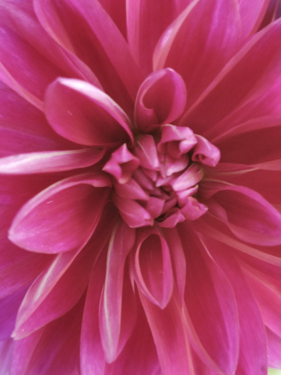 Melissa Huntsberry tweet media