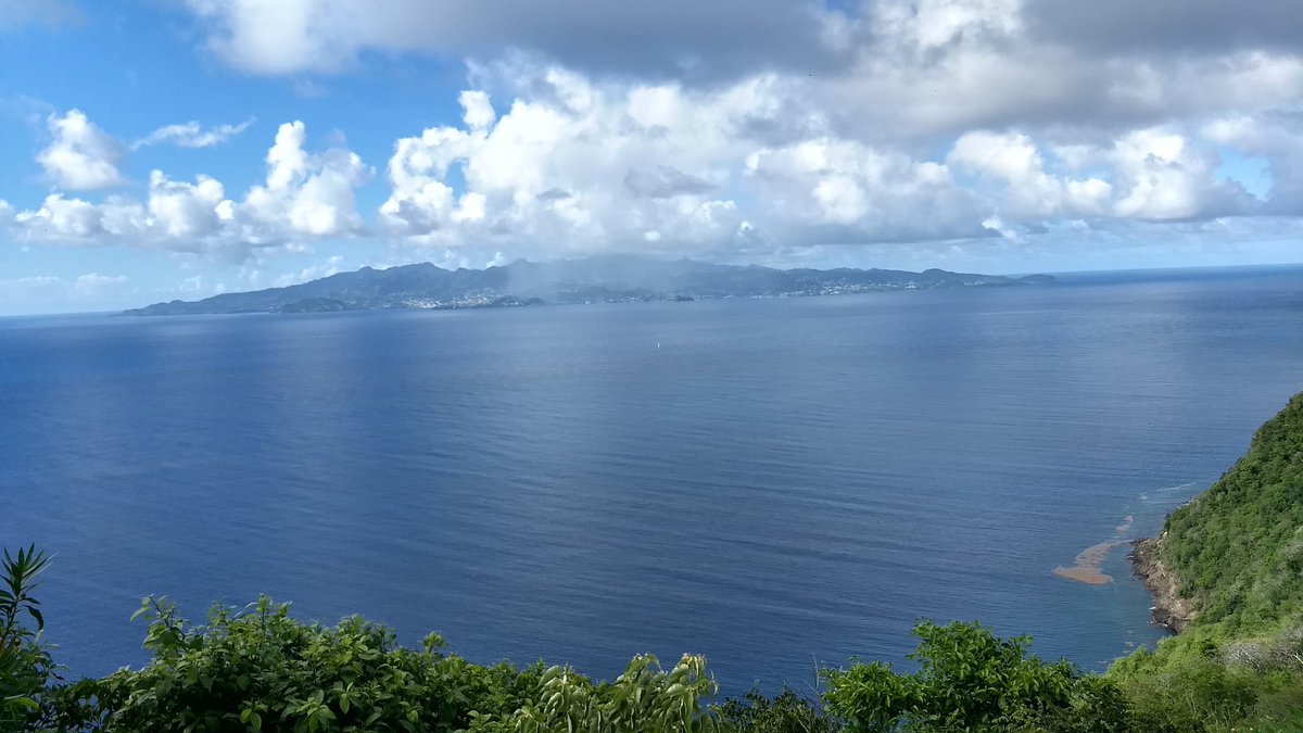 ChezaulW's tweet image. Views from the forbidden hill
#SpringTop #CuzIKindaLightskin #DontTellThemMyFatherBlack