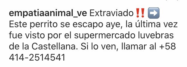 PerroUsuario tweet picture
