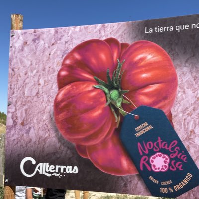 TomateCALterras's tweet photo. #NuevaFotoDePerfil https://t.co/xYB8cfvuWL