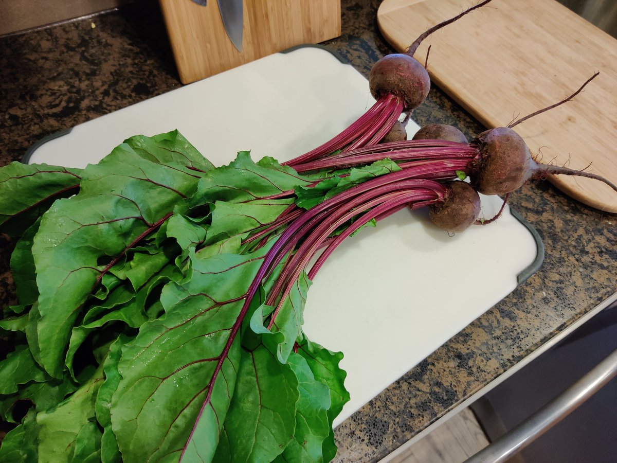 dustindabrain's tweet photo. Starting a journey to be my best self. First thing to do is establish a proper diet to keep my blood sugar from spiking and crashing 😬🥱😣😪 https://t.co/t9FU8fAoui