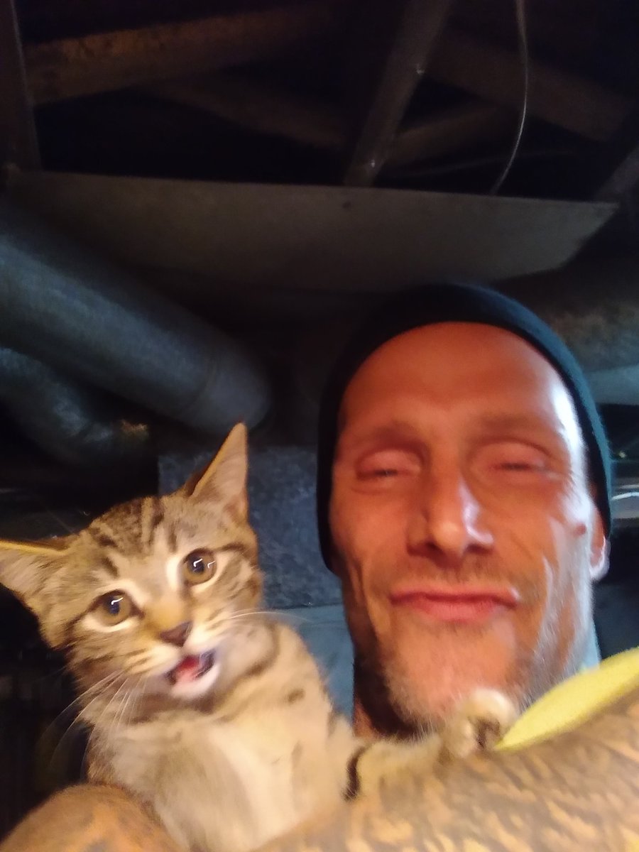 CappJoey's tweet photo. My cat is cool https://t.co/qTVuVPIZ1K