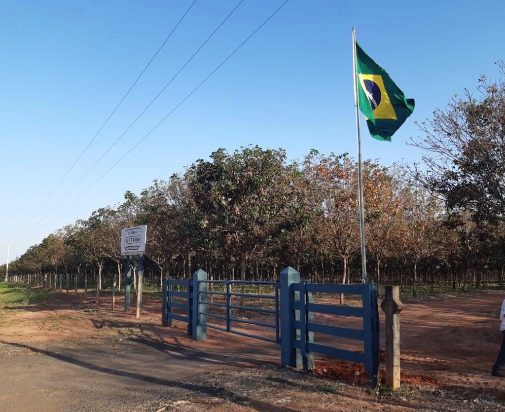 TerezaCrisMS's tweet photo. Semana da Pátria! Produtores rurais patriotas! #Produtorpatriota2020 #produtorpatriota https://t.co/RSTJZveQTT