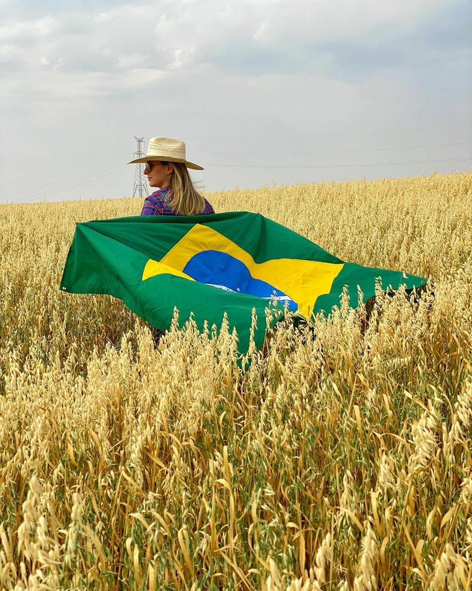 TerezaCrisMS's tweet photo. Semana da Pátria | Produtores rurais patriotas! Presidente @jairbolsonaro, o #agro é orgulho do 🇧🇷. #Produtorpatriota2020 #produtorpatriota https://t.co/see209krZ1