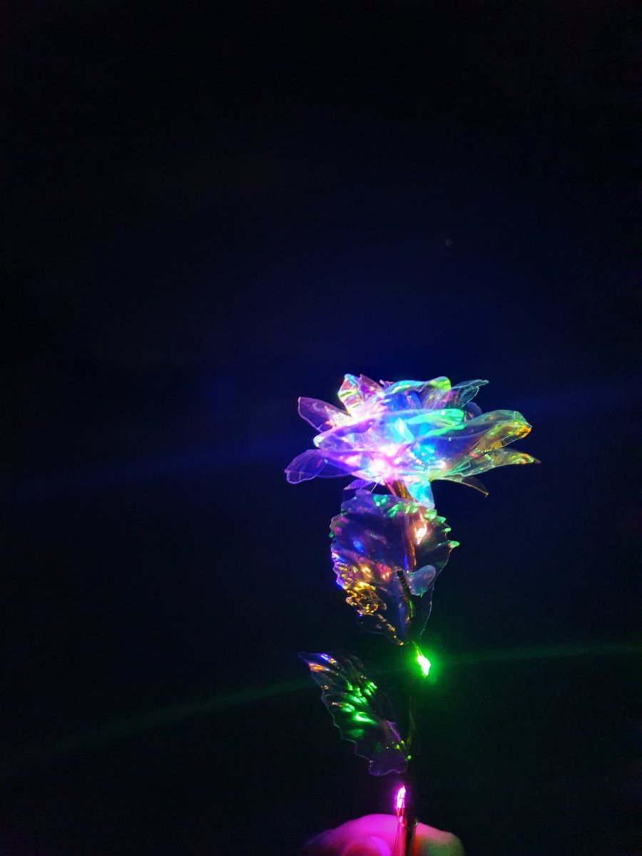 CharmsCelestial's tweet photo. How beautiful is this? Xx
#rose #roses #lightupthedarkness #lightrose #ledlights #lights #nightphoto #nightphotography #nightair #inthegarden #stars #cloudy #iridescent #iridescentrose #shiny https://t.co/mjLroJOAn6