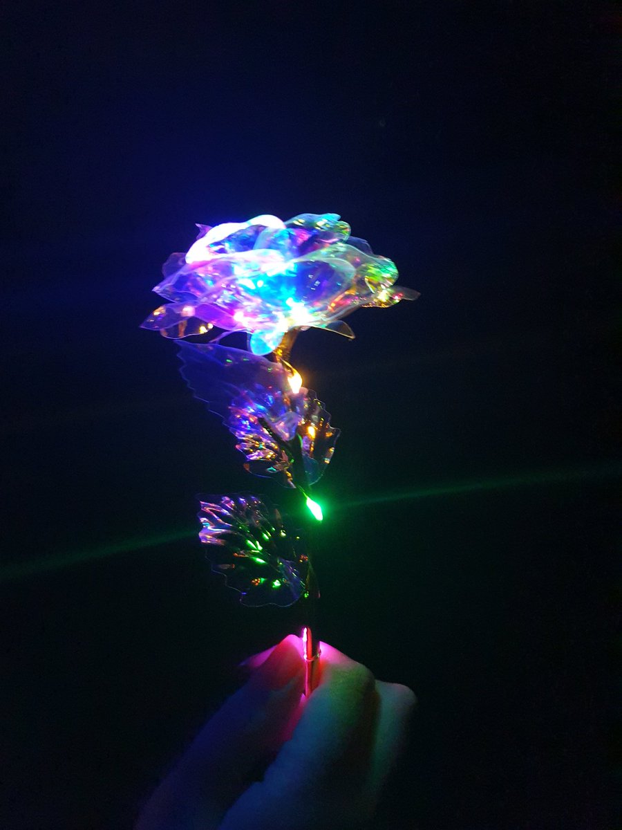 CharmsCelestial's tweet photo. How beautiful is this? Xx
#rose #roses #lightupthedarkness #lightrose #ledlights #lights #nightphoto #nightphotography #nightair #inthegarden #stars #cloudy #iridescent #iridescentrose #shiny https://t.co/mjLroJOAn6