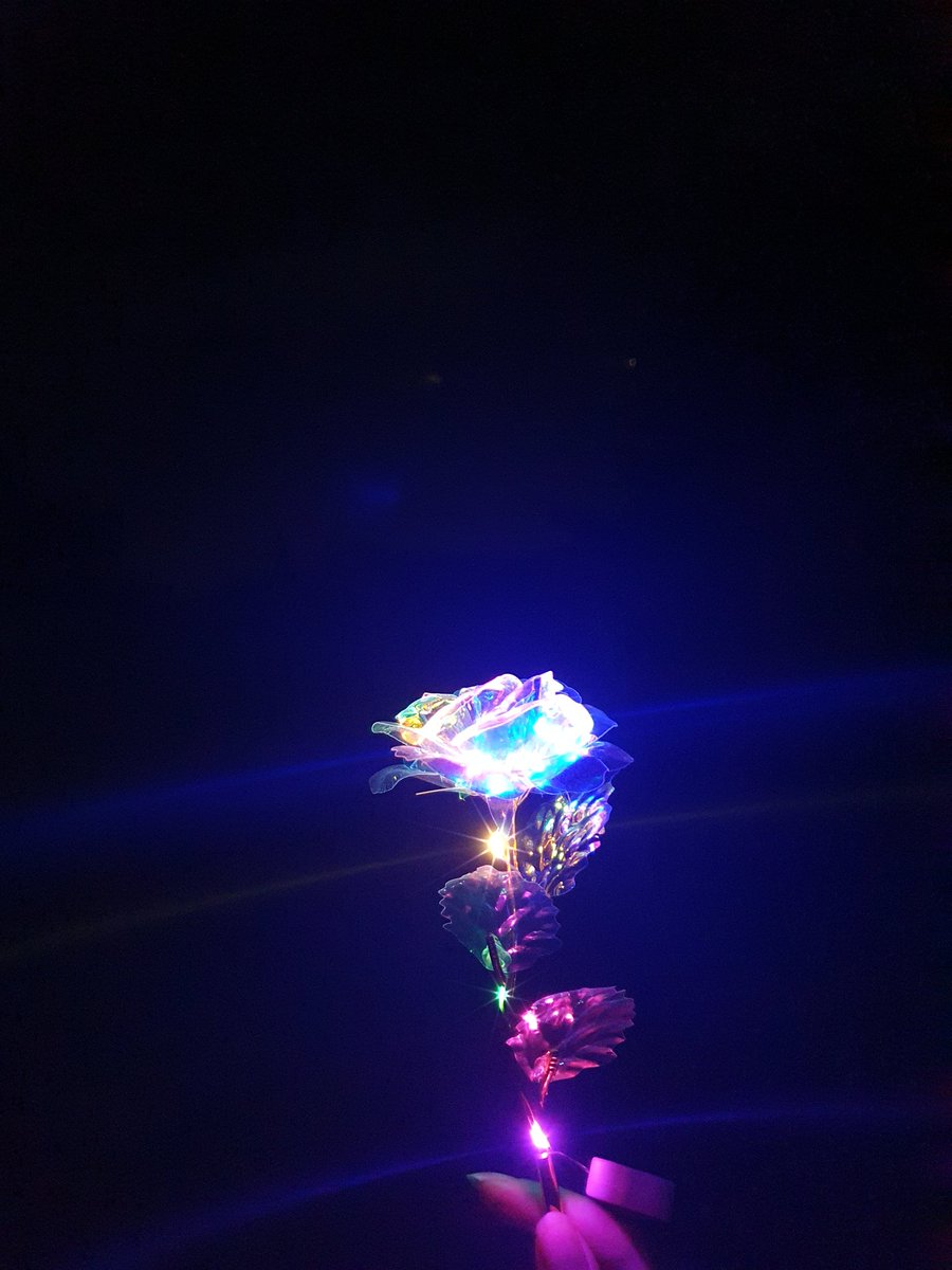 How beautiful is this? Xx
#rose #roses #lightupthedarkness #lightrose #ledlights #lights #nightphoto #nightphotography #nightair #inthegarden #stars #cloudy #iridescent #iridescentrose #shiny