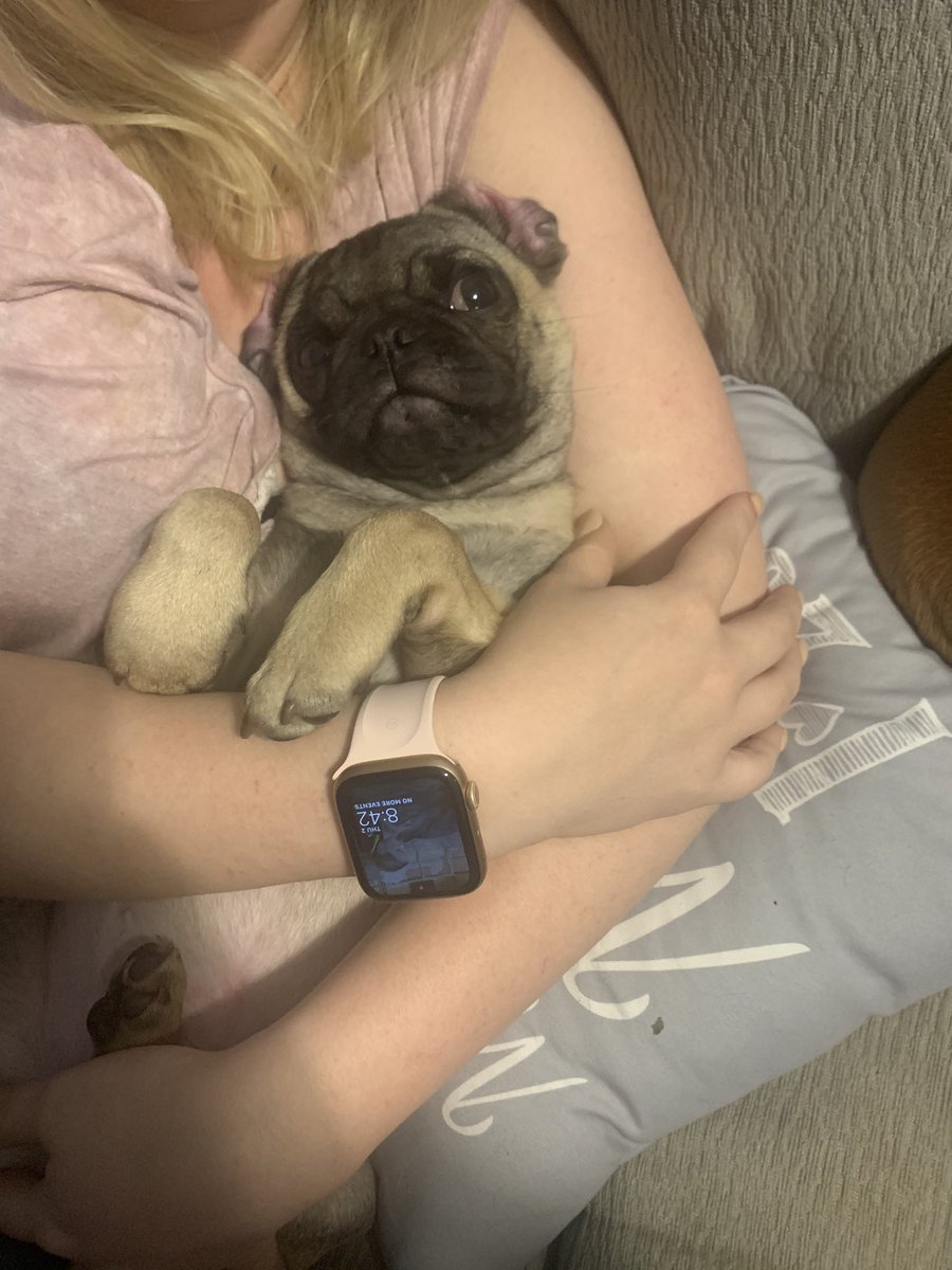 chadillac_52's tweet photo. If you aren't a pug dad then wyd? https://t.co/ejploTjbr5