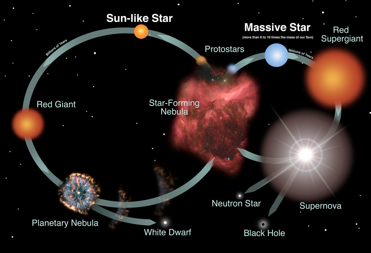 the size of a city. Depending on the size of stars, they will all suffer different fates at the end of their life cycles. Here's a helpful diagram that shows what happens to each type of star when it dies: (6)