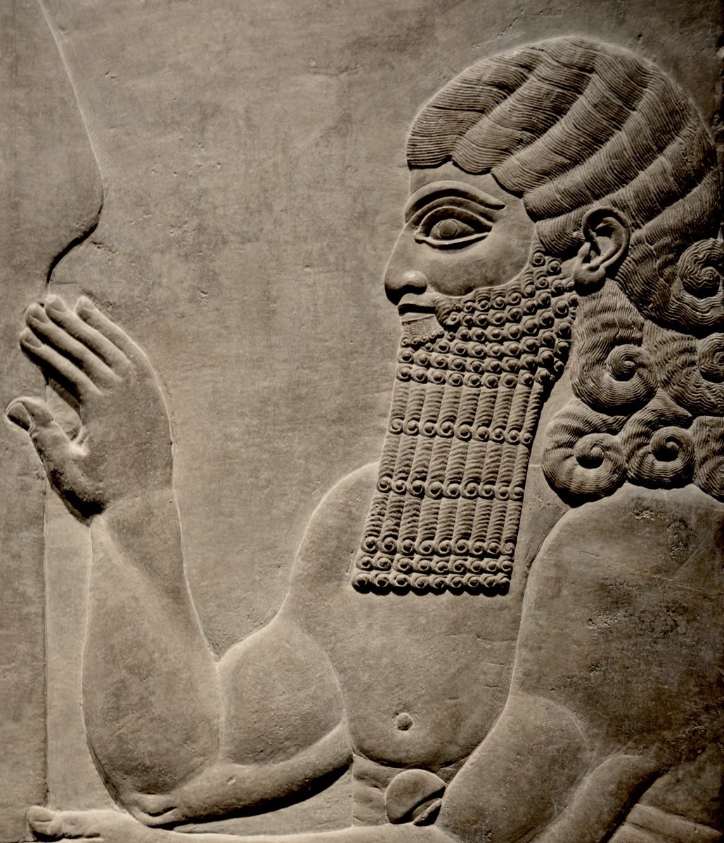 For #WorldBeardDay the ancient Persians steal the show.