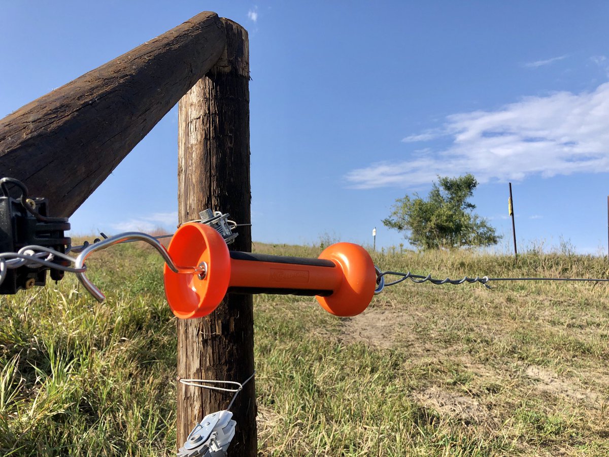 overby_ranch's tweet photo. Fence a new pasture they said, it’ll be fun they said 😅 at least the cows will be happy! #Graze20 #AnotherGate #CrossFenceAfterCrossFence https://t.co/23H8OzAQTY