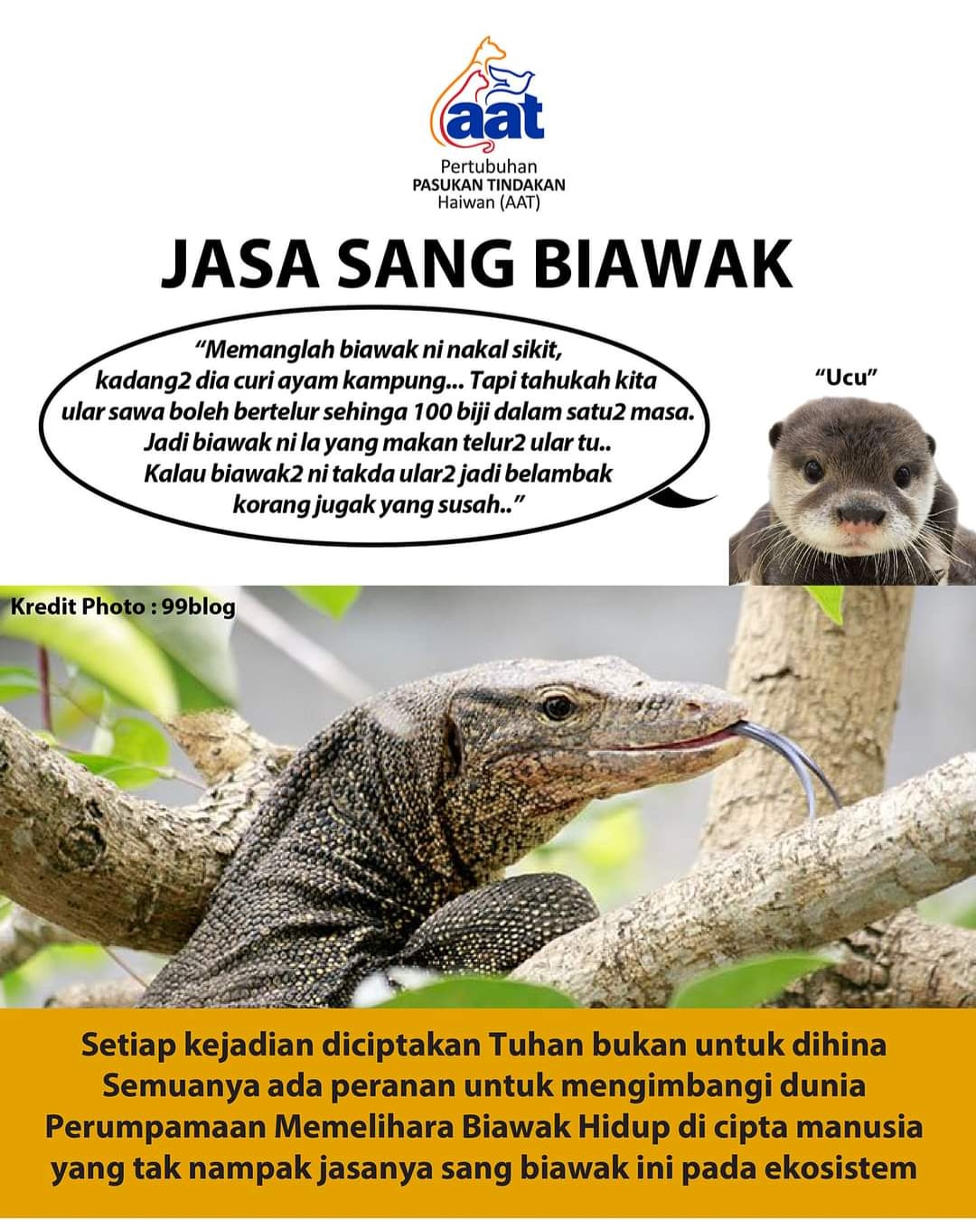 Pahangmedia On Twitter Jasa Sang Biawak Kredit Pertubuhan Pasukan Tindakan Haiwan Aat Https T Co 0kbsysnnb9 Twitter