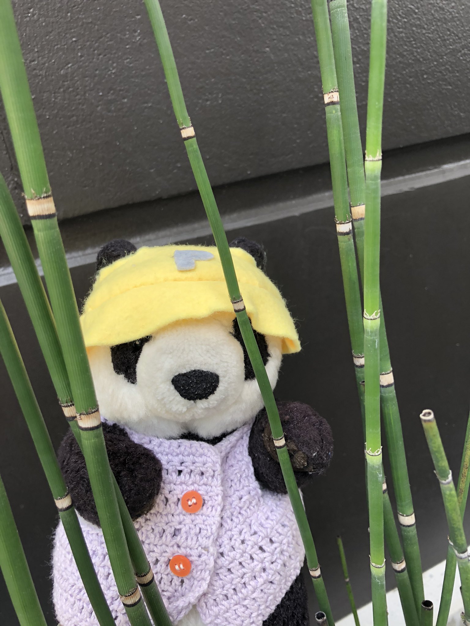 ❤️パンダ❤️ あいり🪆 on X