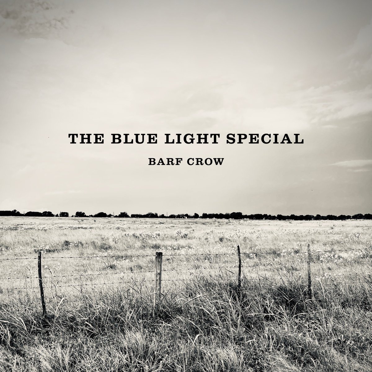 barf_crow's tweet photo. New single 9•25•20 #barfcrow #bluelightlive https://t.co/dUyl8FKpd2