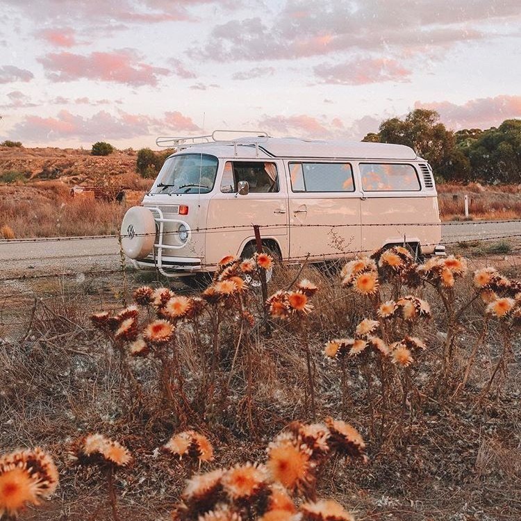 multiology's tweet image. hello, this is janna!! so i've decided to FINALLY move accs after almost 3 years of staying here 🥺🥺. i had so much fun; i created a lot of memories and met new friends here. if you still want to be mutuals with me just interact with this tweet. sexy janna loves you all!! 😚❤️