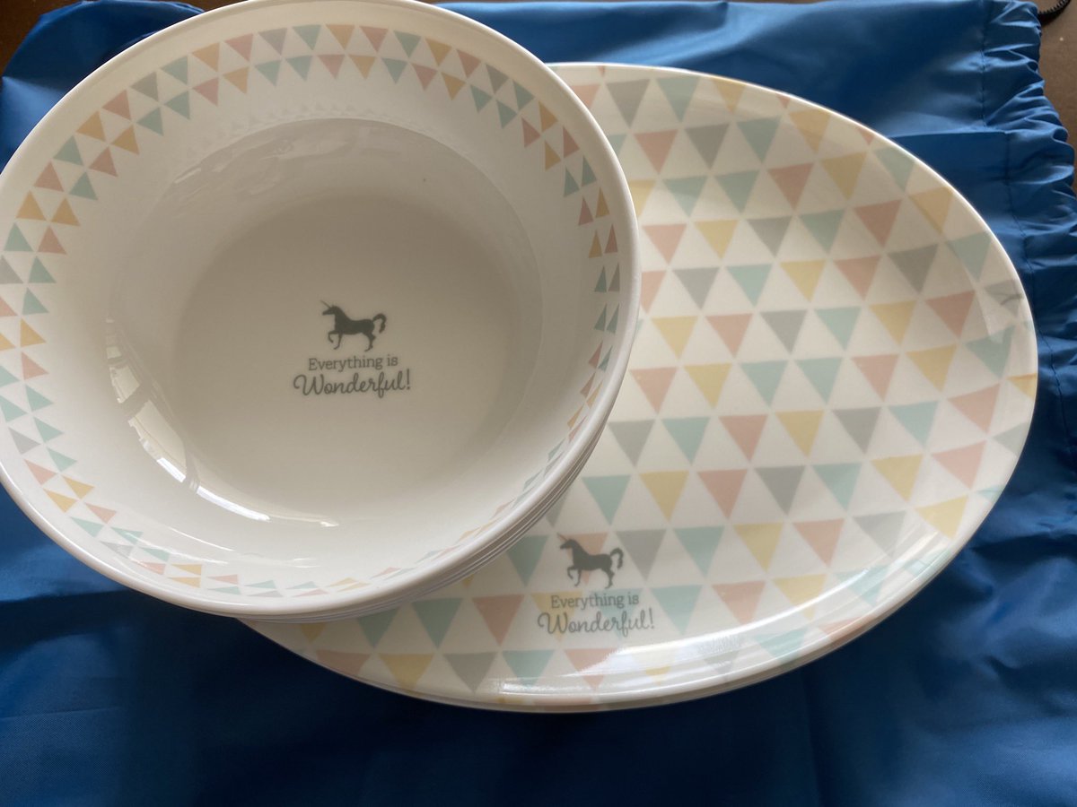 いぬい ちなみに大きいお皿は0円商品だったので ボウル100円 4つ 大皿0円 4枚で10円 税別 でした