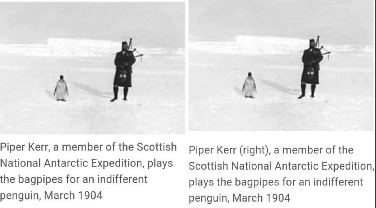 TheEpicDept's tweet photo. Just remembered the greatest Wikipedia article edit of all time https://t.co/QDVG67Q6jf