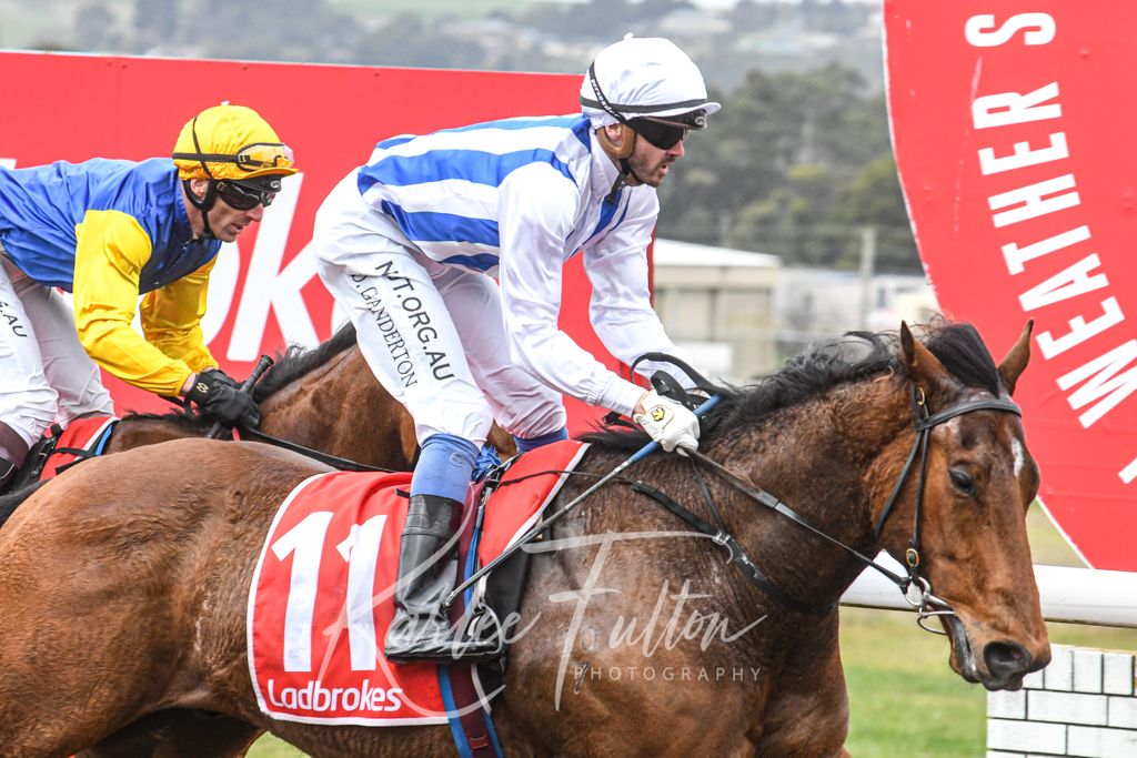 Race 2 at Devonport 
Ladbrokes Maiden (1009) 

Winner : WAR CORRESPONDENT 
Trainer : G.Stevenson 
Jockey : D.Ganderton