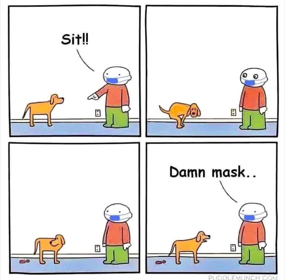 DavinaTrainsDog's tweet image. #Doghumor #Dogcommands #Masked2020