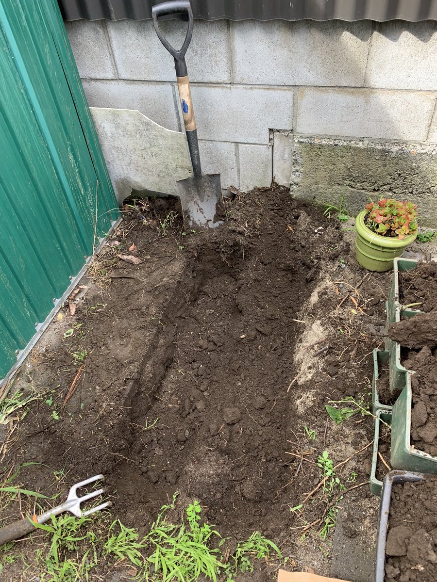 Paul_Carle's tweet photo. @TMHorgan @mjbulloc @FelicityJEvans @AntoniaWatsonNZ @7bpk Ok I’m in - got some spuds down. Found this full shade spot to give you lower north islanders a fighting chance #spudfest2020 https://t.co/FVAudQCHFi