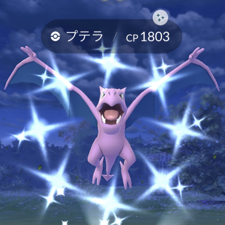 色違いプテラ Twitter Search Twitter