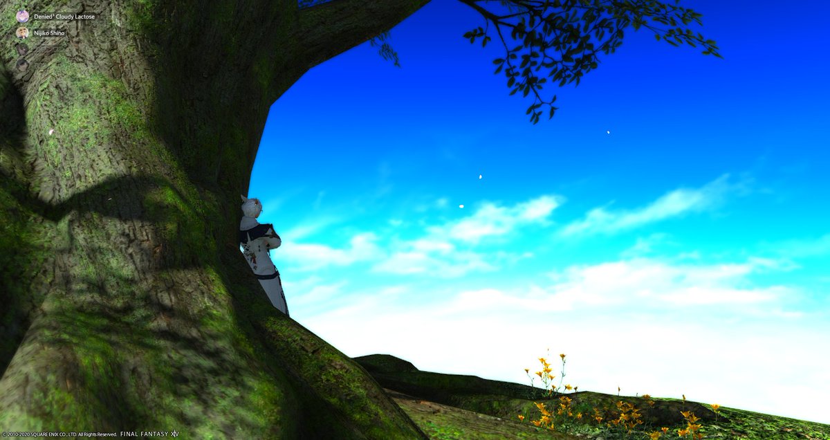 Dranse_FFXIV's tweet photo. WE DID IT !!! Cleared HoH with Osora, Nijiko and Shio !!! 
Lot of scary moments but we did it !! 💖💖💖💖💖💖💖 https://t.co/vxguKNdTW5