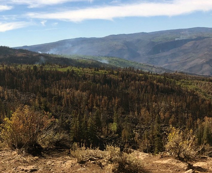 fire_grizzly's tweet photo. As expected w/hotter, drier weather, we have been getting calls about visible smokes north of I-70 in the No Name and Grizzly Creek drainages and south of the hwy in the Ike Creek drainage. The smokes are well within the fire perimeter and do not pose a threat.

#GrizzlyCreekFire https://t.co/E1Sz8tEdXM