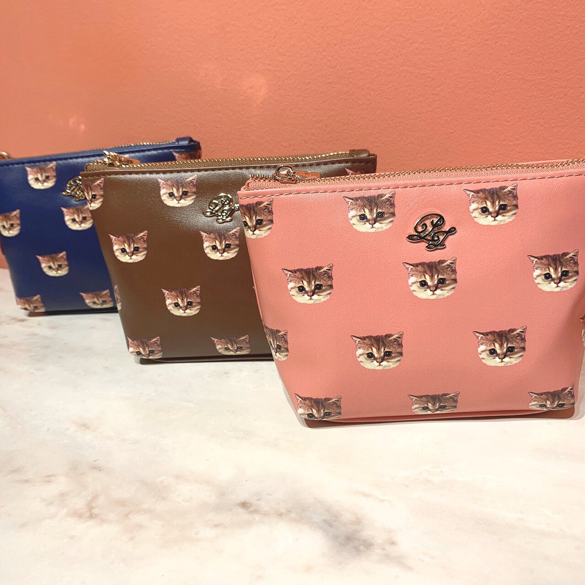弟からもらった猫ちゃんプリントのポーチ Paul Joeかな と思ったら馴染みのある猫ちゃんだった Togetter