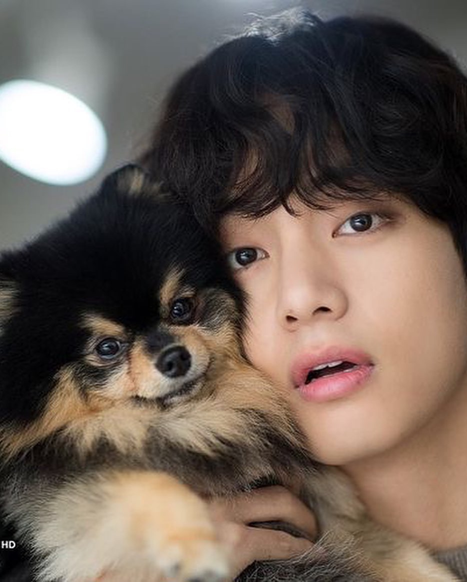 KookNourane's tweet photo. You know that just after some hours  yeontan's birthday  
Happy birthday tanie🎉🎂 https://t.co/DhqFwekRA6