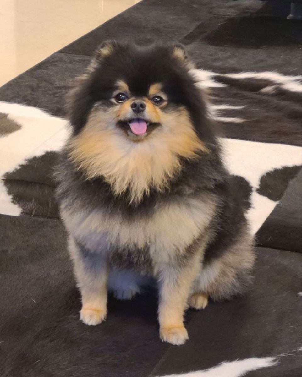 KookNourane's tweet photo. You know that just after some hours  yeontan's birthday  
Happy birthday tanie🎉🎂 https://t.co/DhqFwekRA6