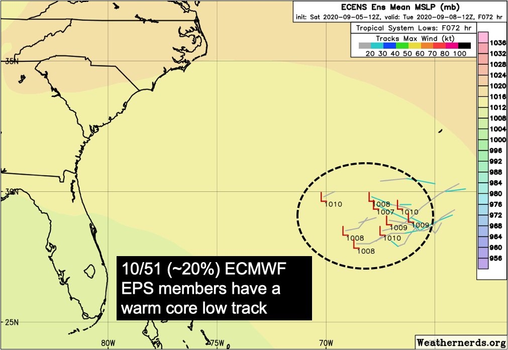There is growing model support representing this feature. The most recent 12z ECMWF EPS guidance had 10/51 (~20%) members with a warm core low track.I don't think I need to reiterate how active this region between Bermuda & the East US Coast has been for  #TC genesis this year.