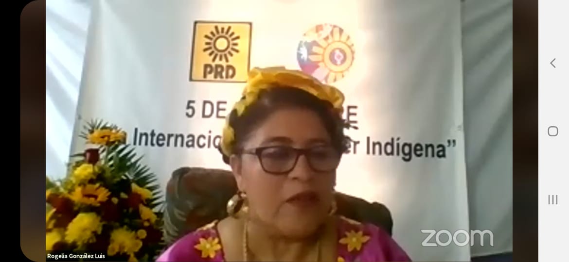 RogeliaGLuis's tweet photo. Muchas gracias querida @karlitajakobo por tu mensaje como Secretaria de las Juventudes del @PRDMexico en nuestro Foro Virtual en el marco del día internacional de las mujeres indígenas sin duda las juventudes son fundamentales de la Democracia y alcanzar la igualdad para las🚺 https://t.co/t9HgbjhSuC