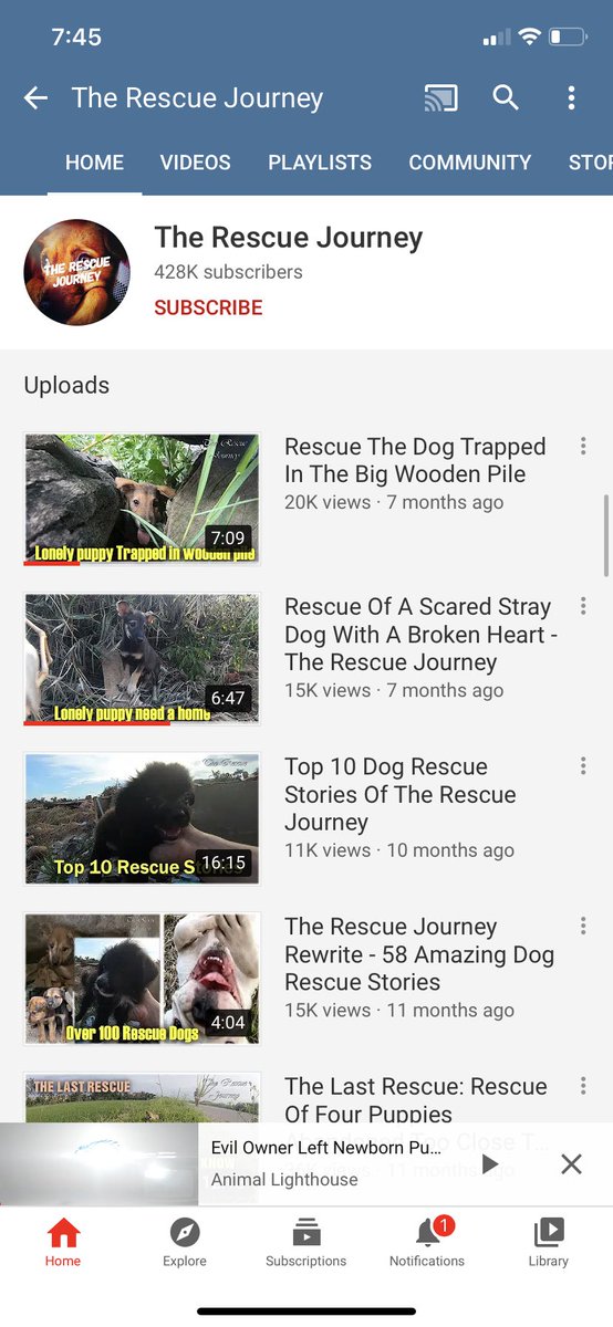 NickCrowleyYT's tweet photo. 1 down many to go. “The Rescue Journey” has been unverified, deleted all their videos, and changed its name. YouTube may not be helping but we are still making a difference! LETS KEEP GOING! https://t.co/OTTQo7iuMa