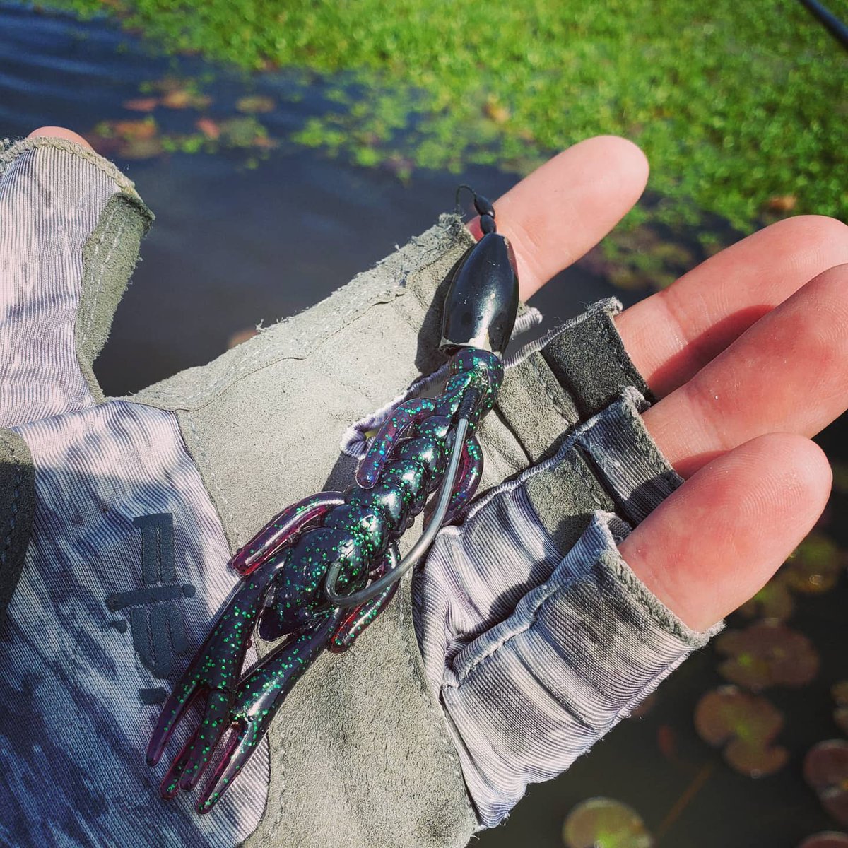 Gambler Lures on X: The grass is grown and it's time to get out the heavy  weight and punch on thru the roof with a BB Cricket! #bbcricket #punching  #heavycover #bassfishing  /