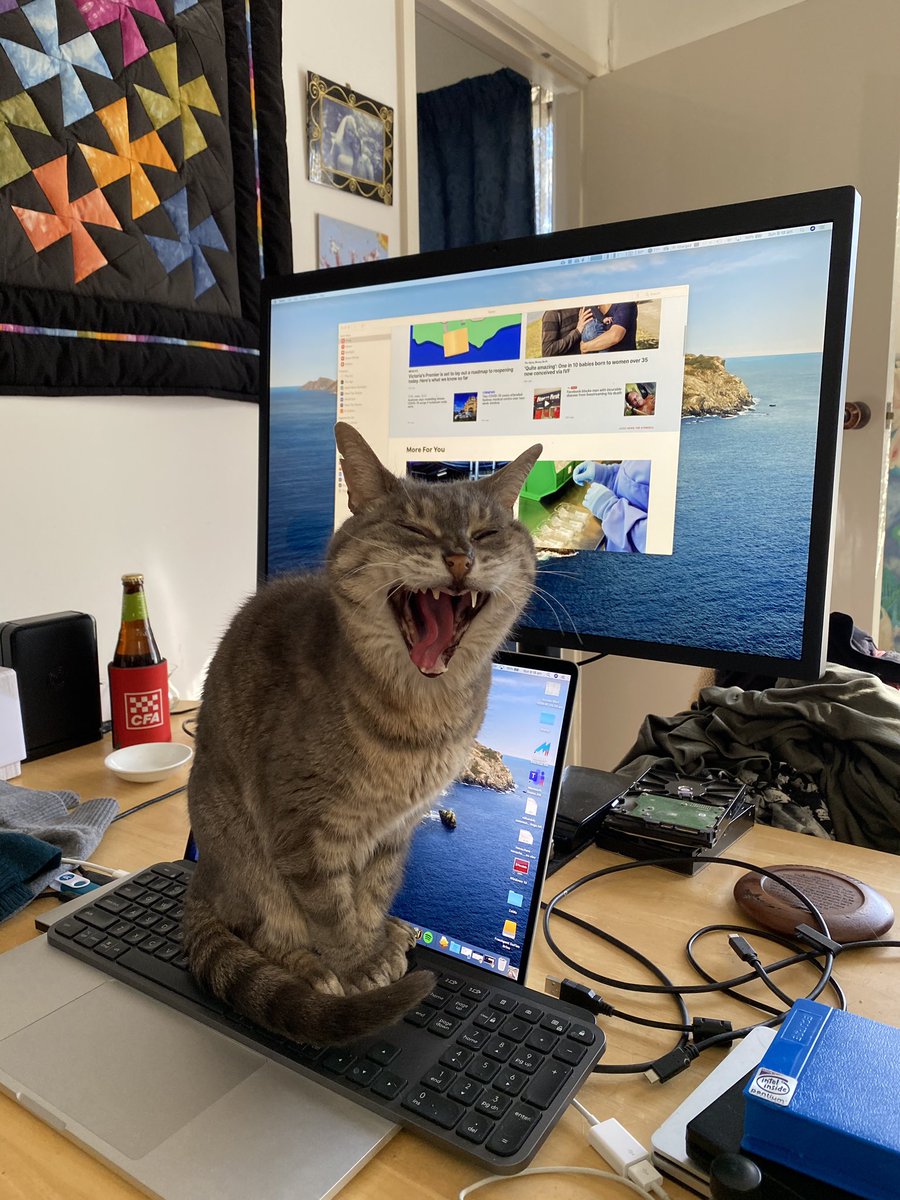 _firstworldcat's tweet photo. If I fits I sits. Happy Further’s Day to all the Fur Dads out there (including mine)! #furthersday https://t.co/neoiJgkI2Y