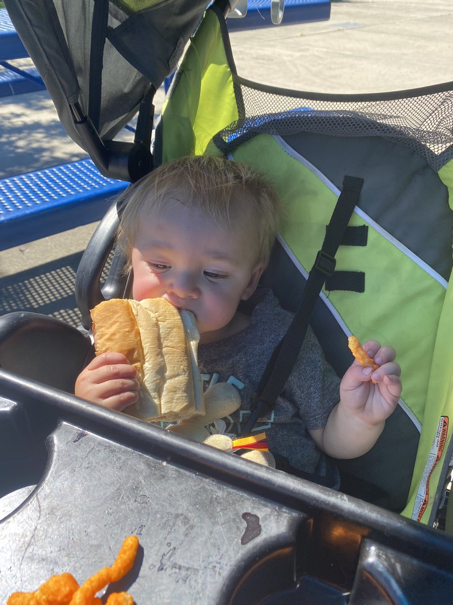 BriannaaaLittle's tweet photo. just a few pictures of Hank loving food😻 https://t.co/vRF7sZrCEV