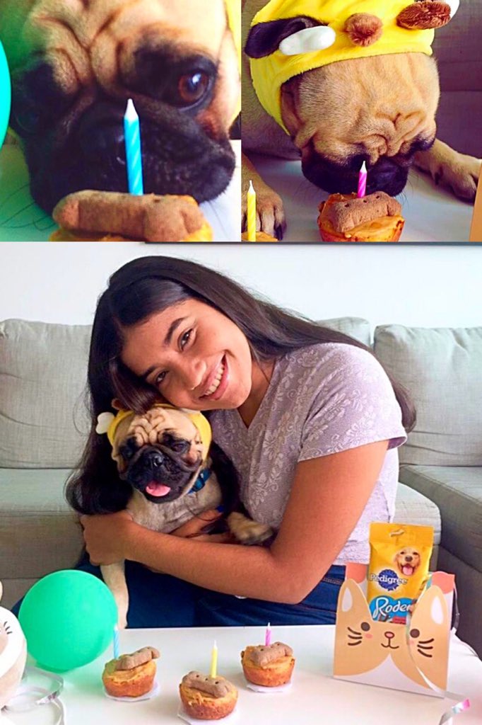 SaiCompany's tweet photo. Feliz Cumpleaños mi adorado #FrankUnPug #ILoveMyDog ❤️ https://t.co/4JmwdqStQe