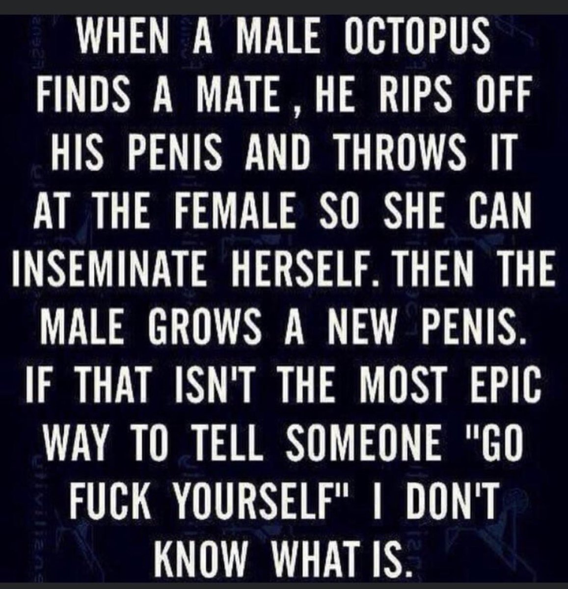 jmartinez389's tweet photo. This can’t be true! Is it?! Lmao!!! 😂🤣 https://t.co/IdiB1Ainn7