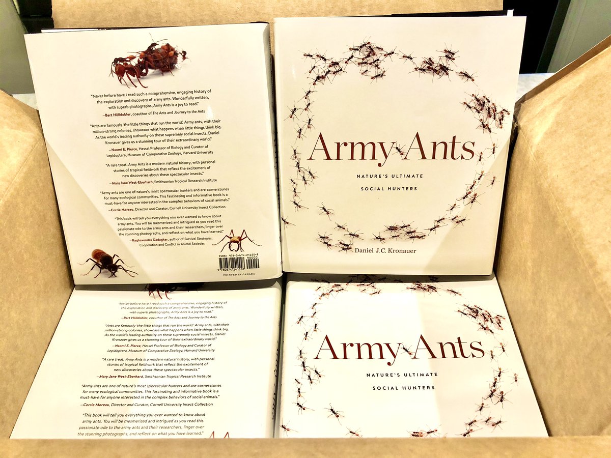 Look what just hatched out of this box from  @Harvard_Press. My monograph “Army Ants” is finally here. 384 pages packed with 133 color photos and over 300 years worth of knowledge about the wickedest insects ever to roam the planet.  #armyants  #ants  #insects  #entomology